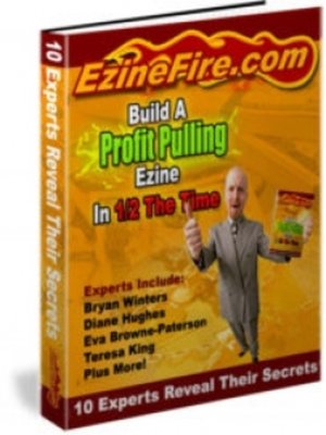 cover image of Build a Profit Pulling Ezine In 1/2 the Time